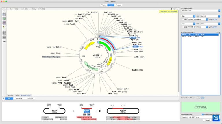 SnapGene